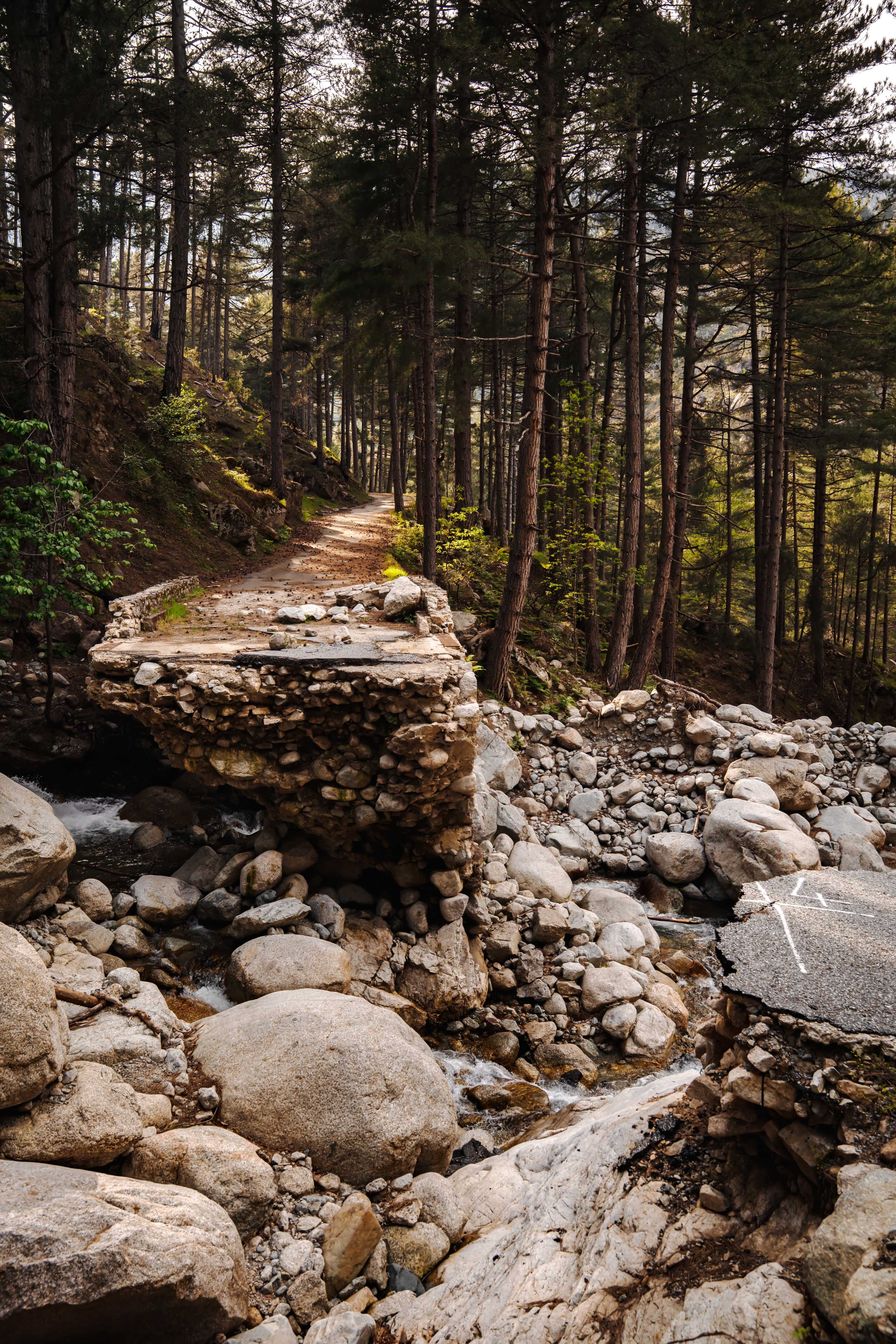 Bridge 2