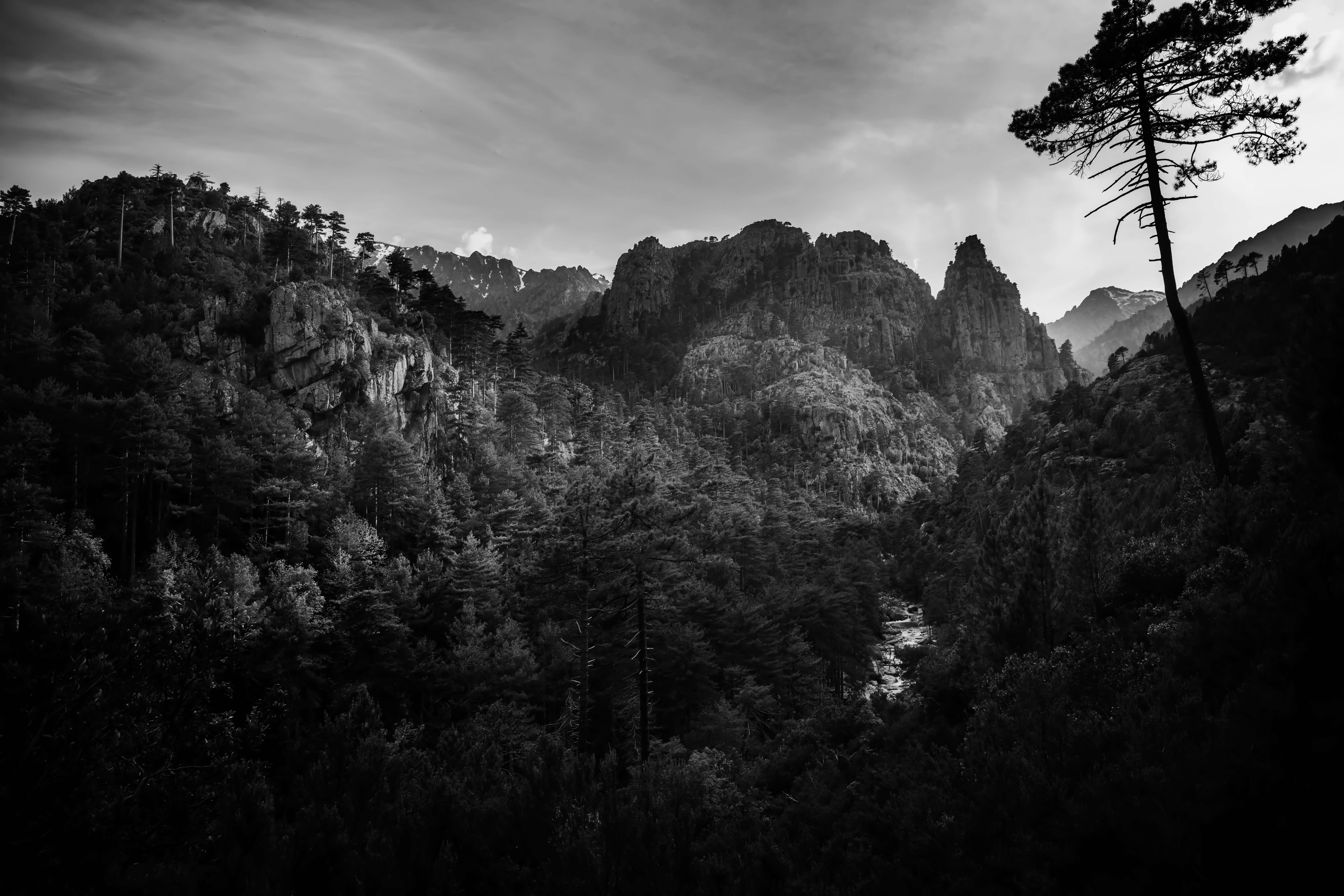 Corsica