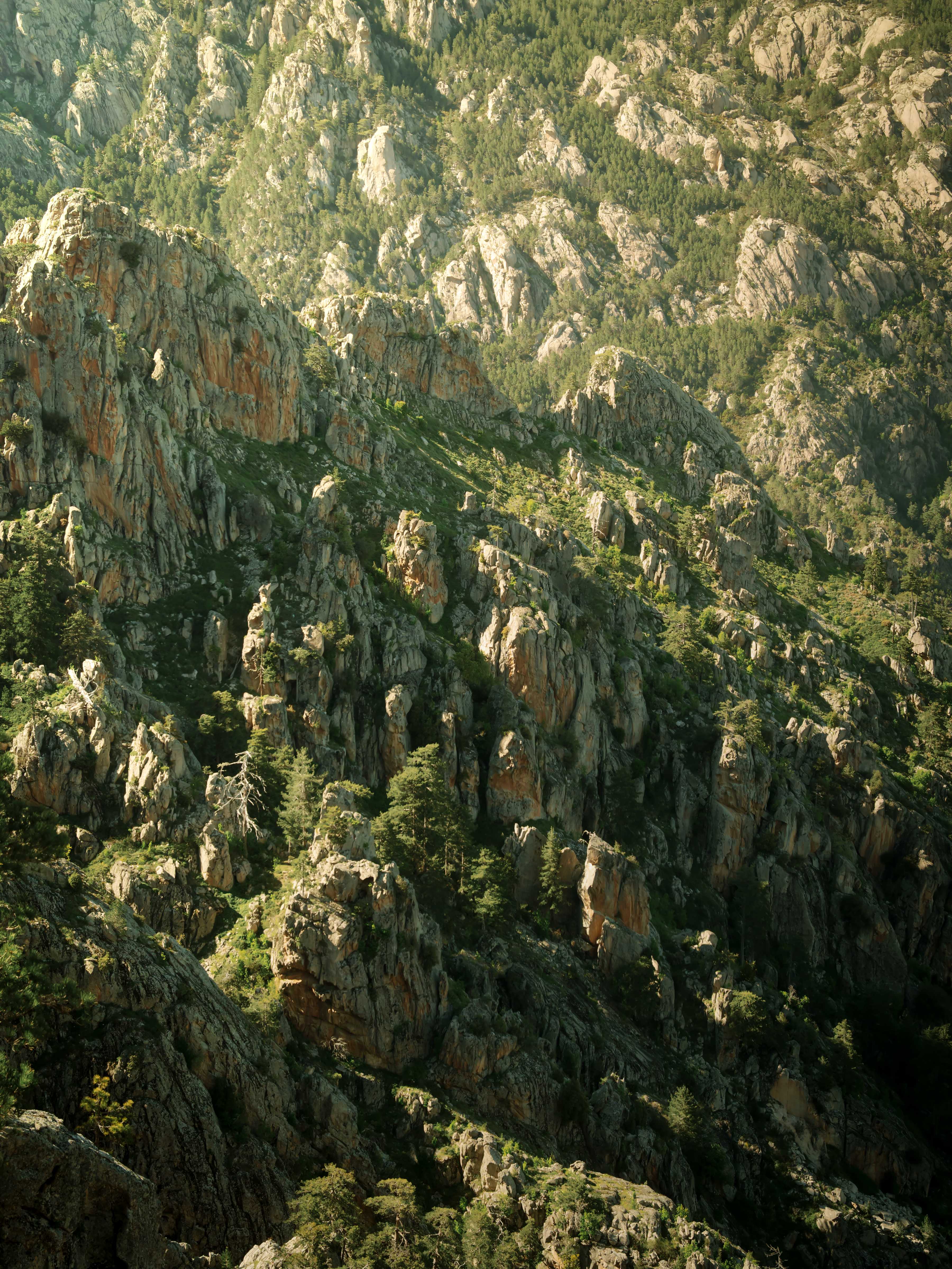 Corsica