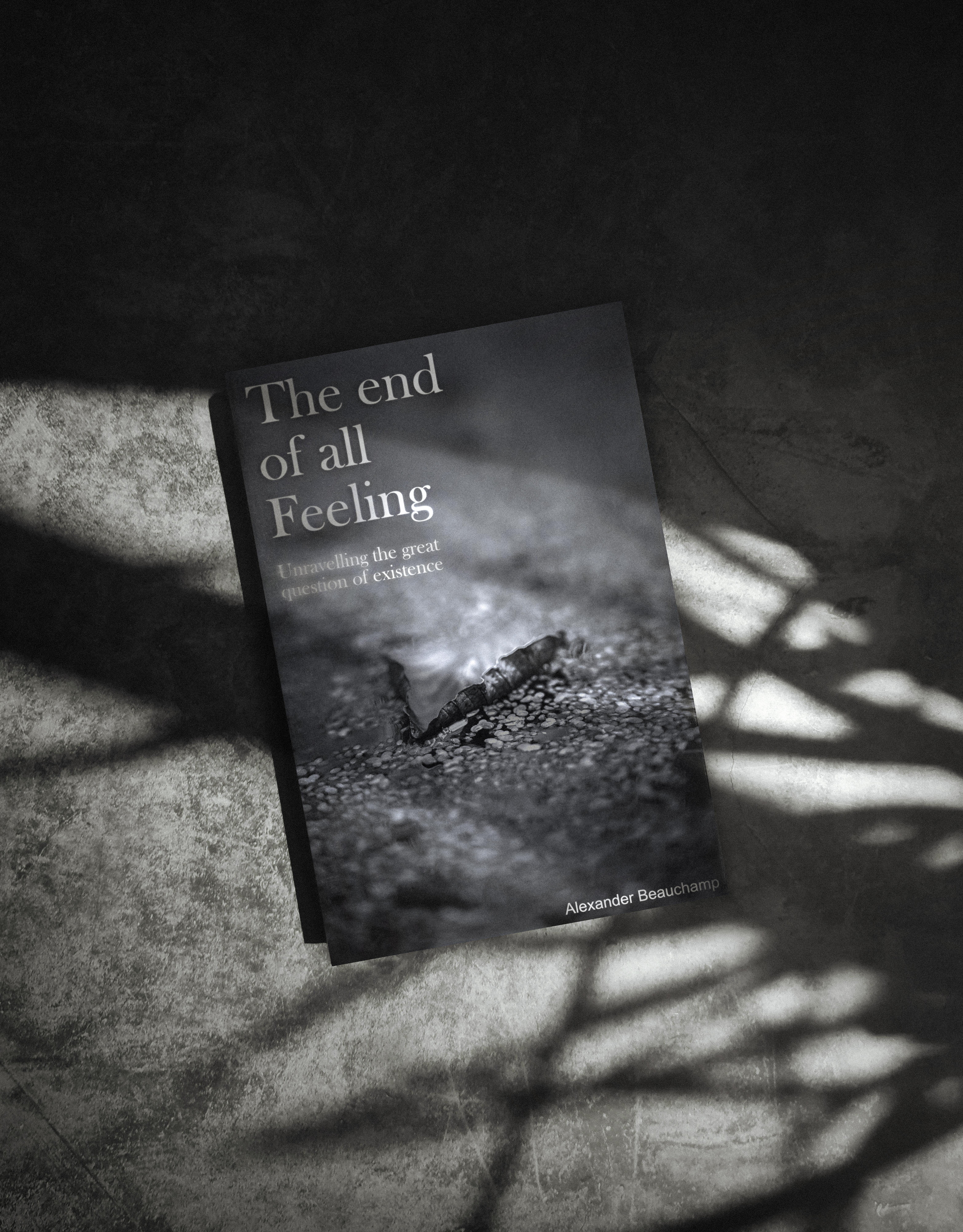 The End of All Feeling book cover